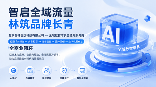 智林创想 · 全域数智增长全链路服务商